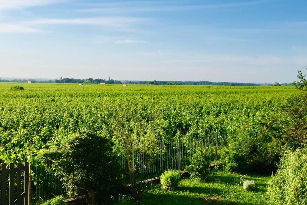 Appartement Avec Vue Sur Les Vignes A Gevrey Kültér fotó